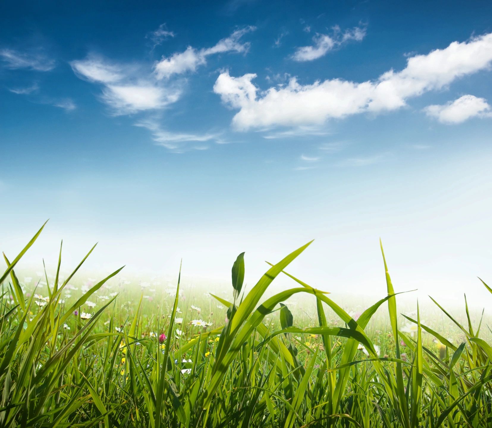 Read more about the article The Impact of Cloud-based NEMT Dispatch Software