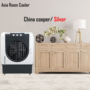 Asia Room Air cooler  (220V BLACK)