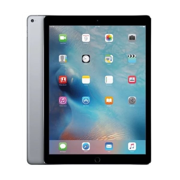 12-9-inch-ipad-pro-wi-fi-256gb-sg-500x500 paint 2